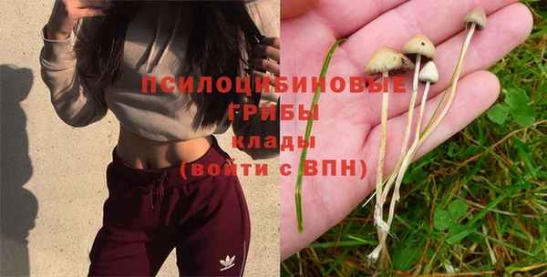 сатива Магас