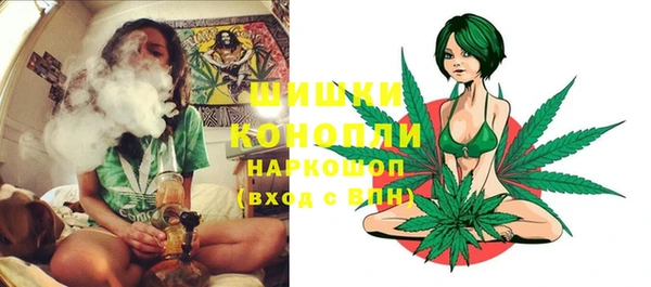 сатива Магас